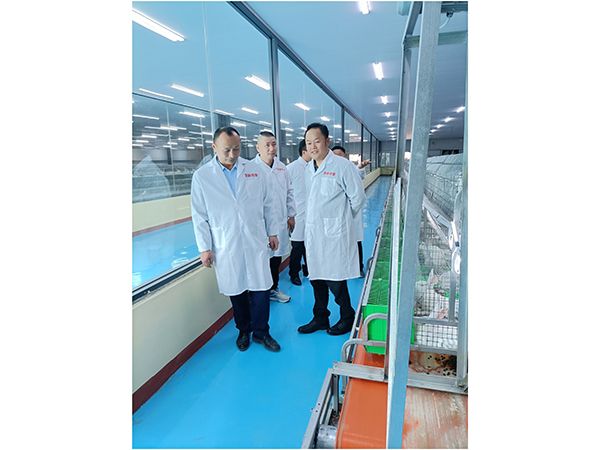 養(yǎng)殖實(shí)景