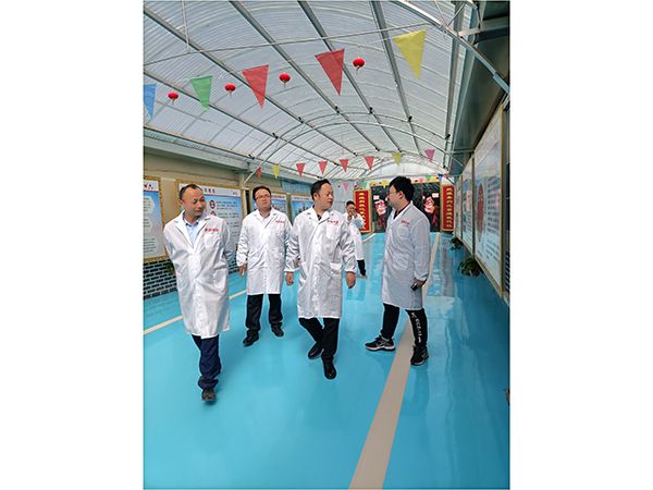 養(yǎng)殖實(shí)景